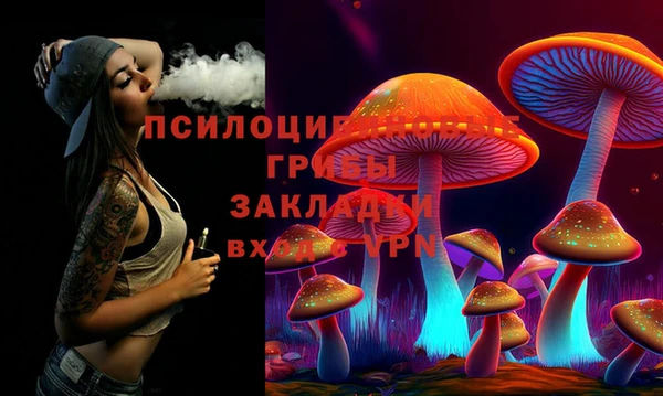apvp Алексин