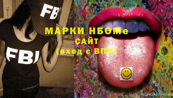 гашик Алексеевка