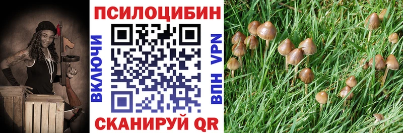 наркошоп  KRAKEN   Псилоцибиновые грибы прущие грибы  Пролетарск 